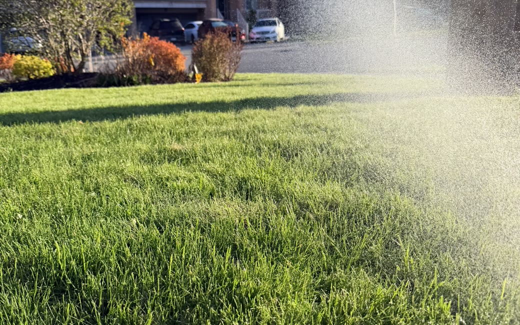 A sprinkler zone running in low evening light — the wrong time of day