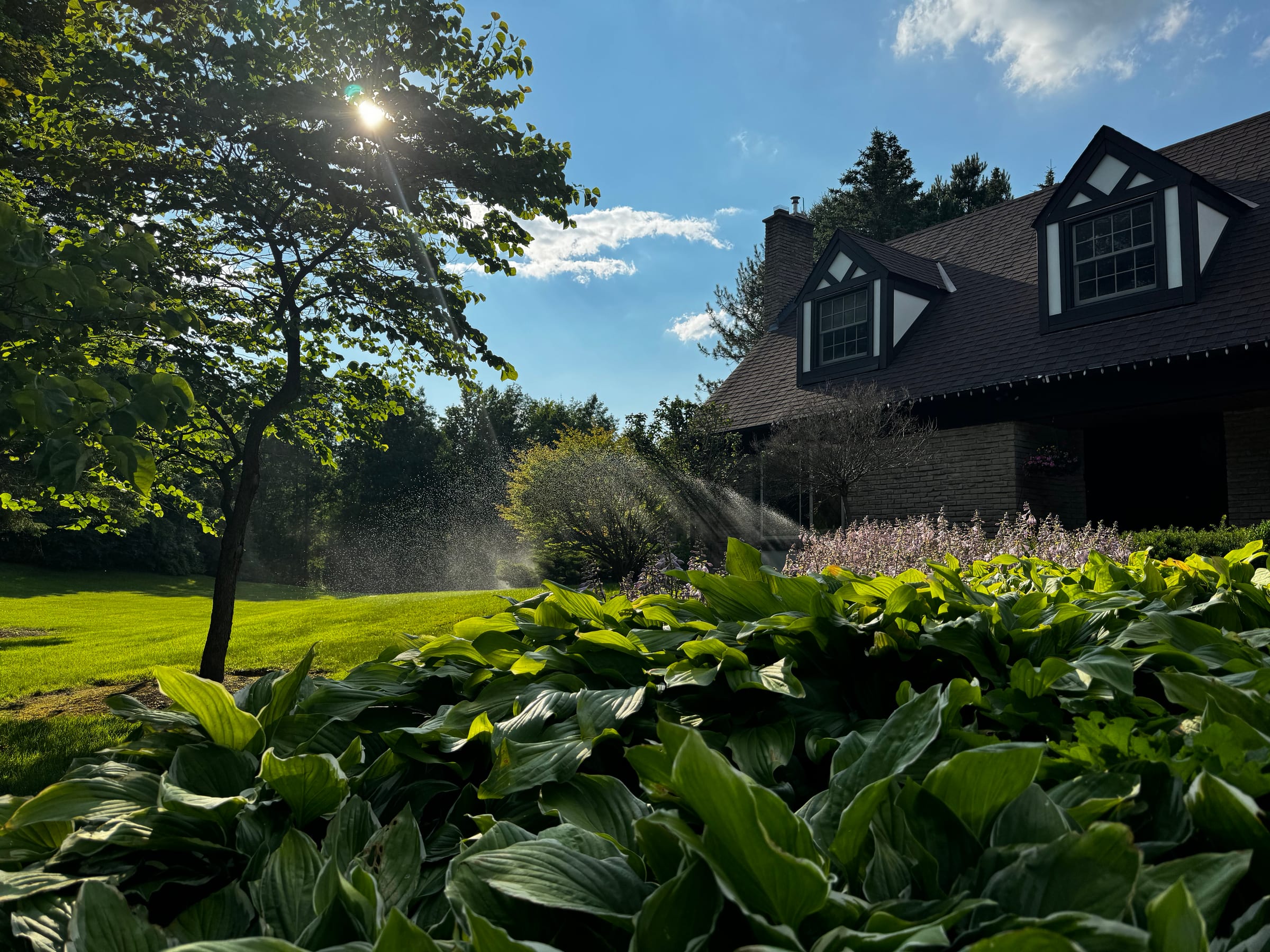 Large estate property with mature canopy and ravine — sprinkler design by PJL Land Services
