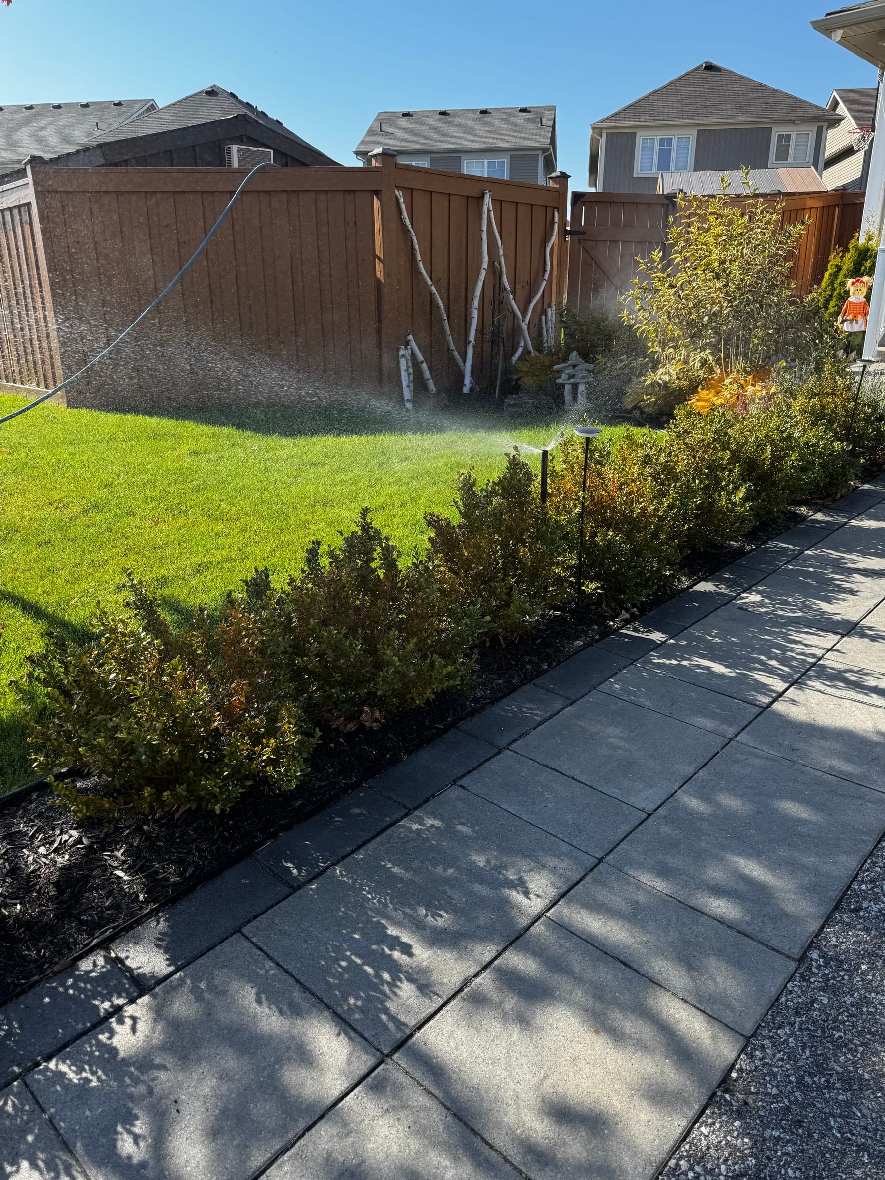 Lawn sprinkler running on a York Region property in early fall, before the winter blow-out