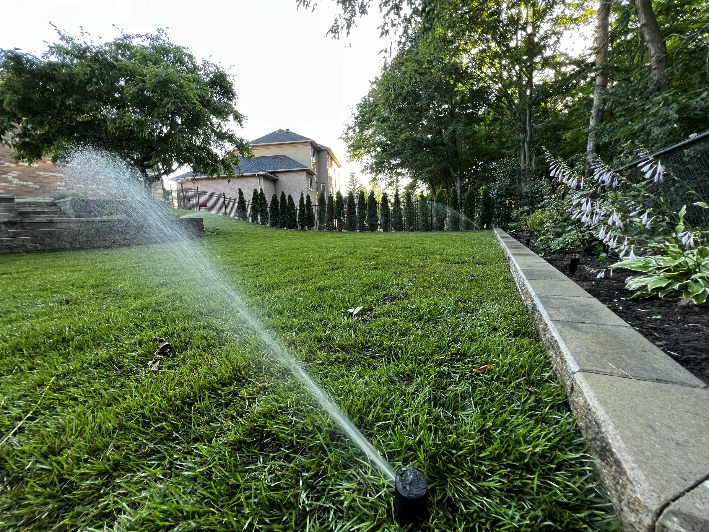 Sprinkler system running in autumn before winterization in North York