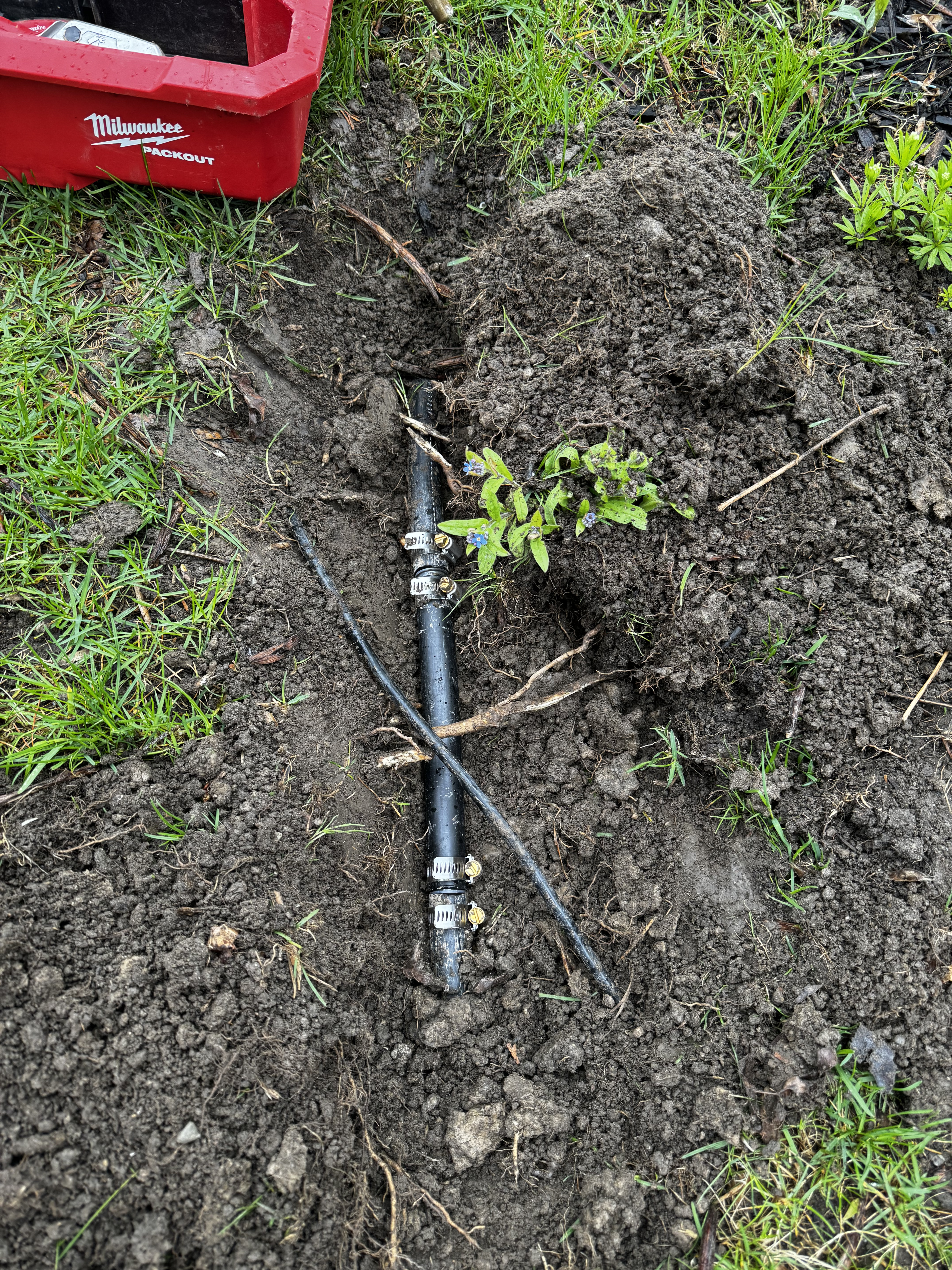 HDPE poly irrigation pipe repair with stainless hose clamps in an open trench — tree roots visible in the surrounding soil
