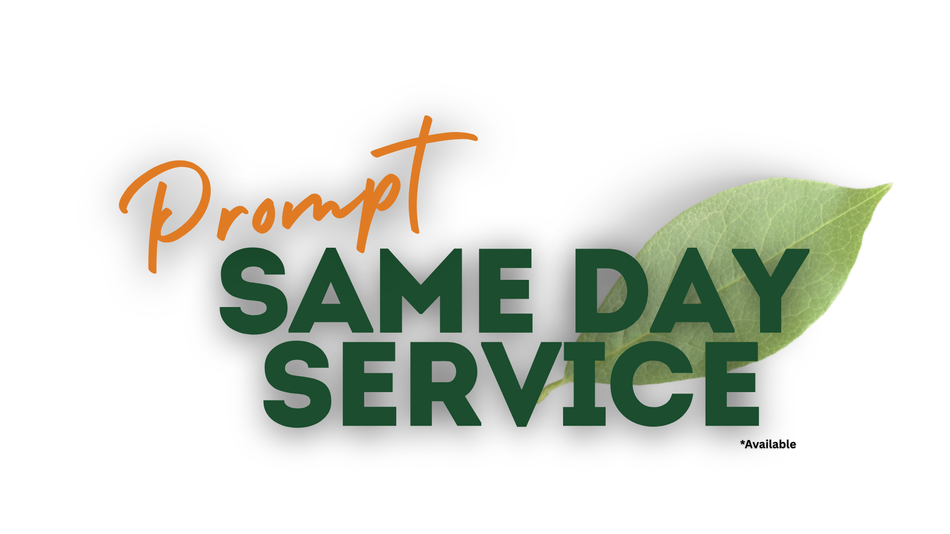 Prompt same day service