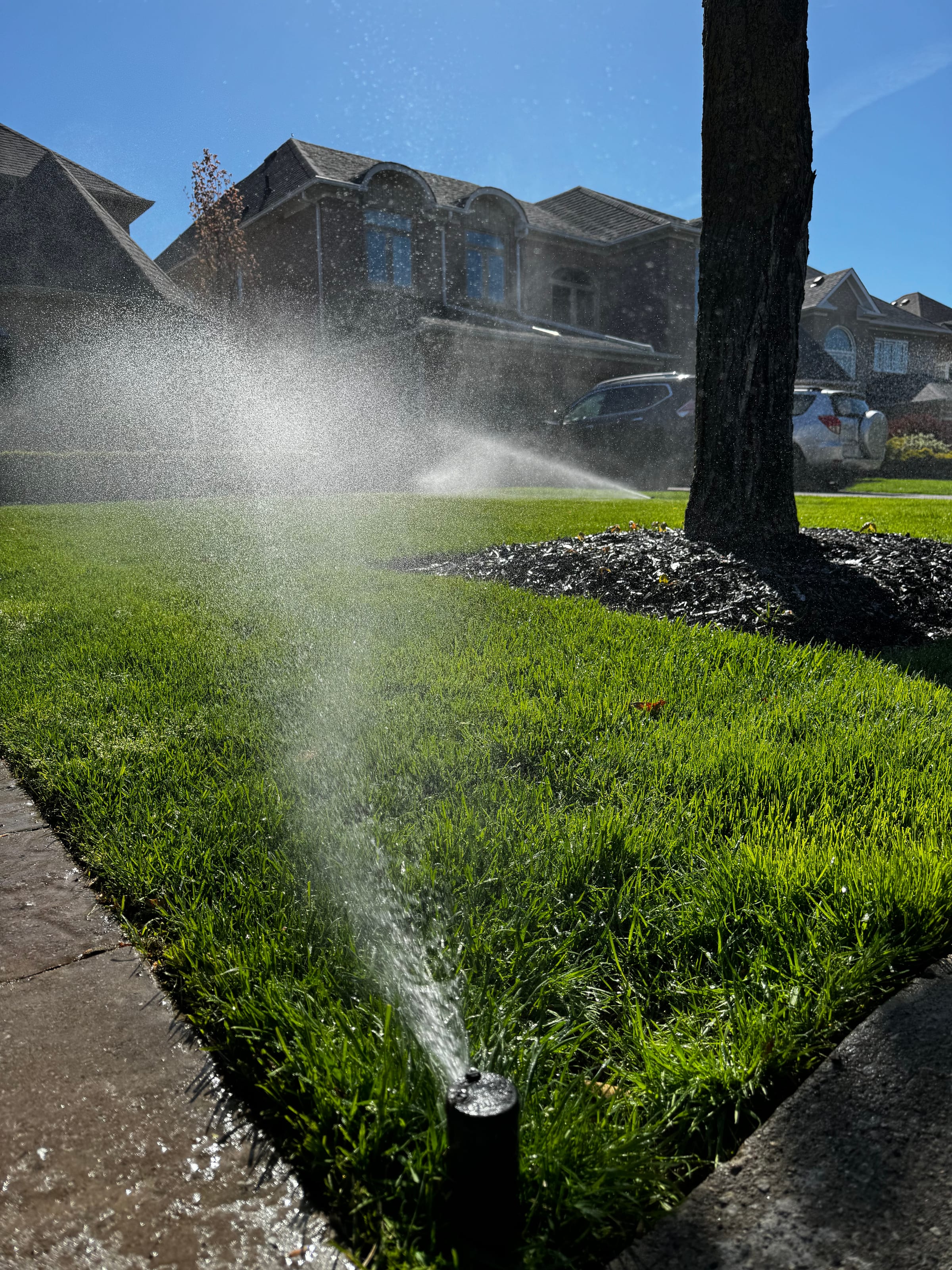 Sprinkler system running across a GTA lawn — 2026 pricing guide by PJL Land Services